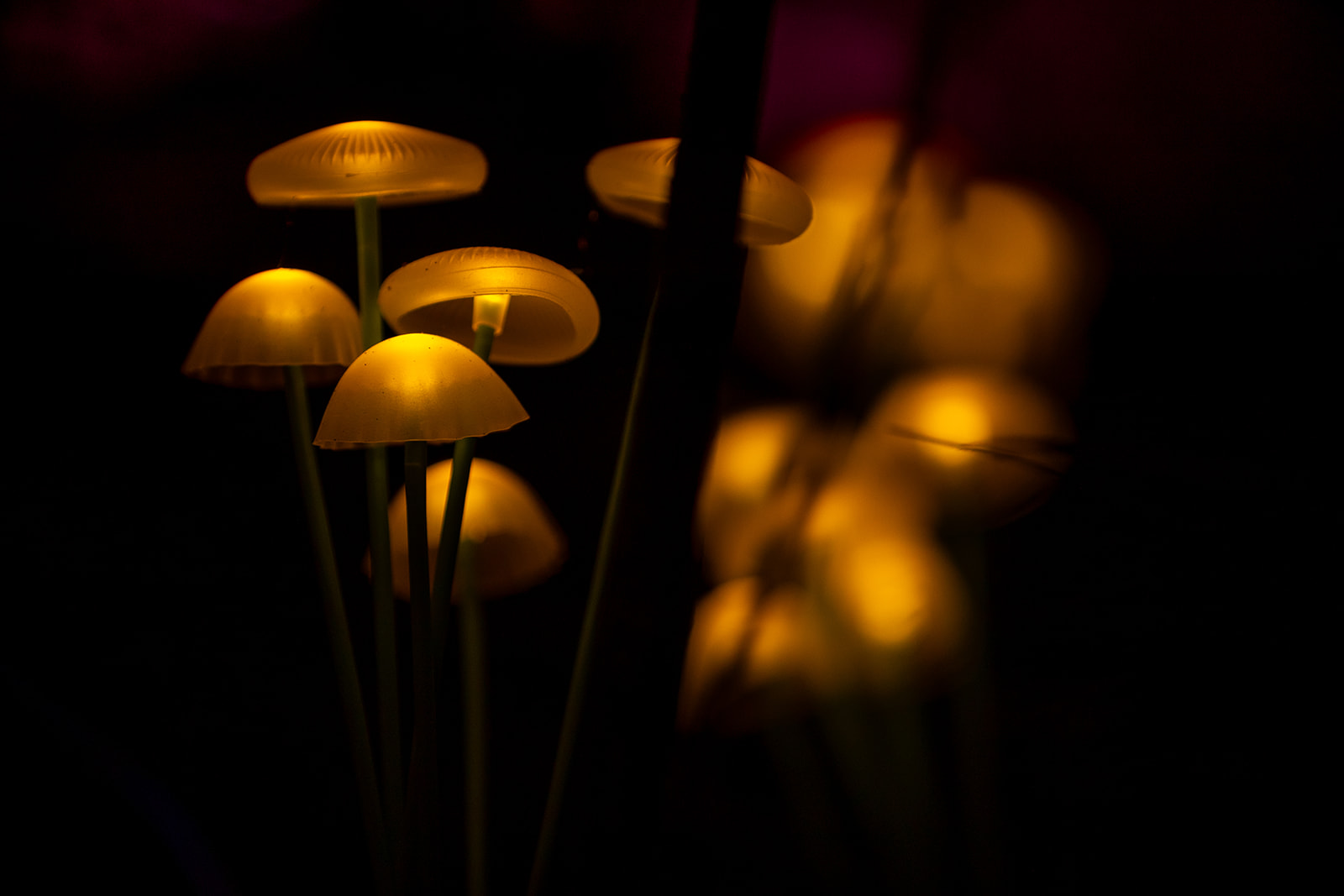 Installation Image